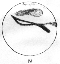 19881001_Mars_DBP.bmp