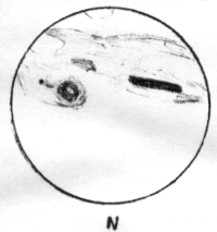 19881005_Mars_DBP.bmp