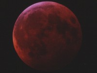 20010109_LE_55124_NSE