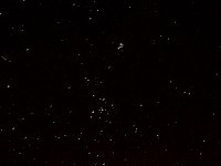 Taurus