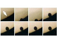 Fig 13. Ingress mosaic