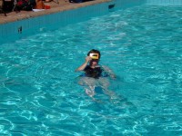 Fig 48. Observing from the pool.