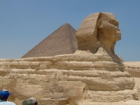 Fig 51. Sphinx.