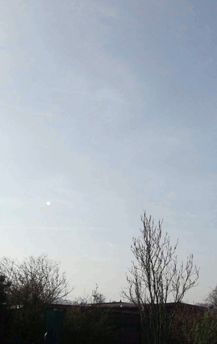 20150218_analemma_trail_AJS.gif