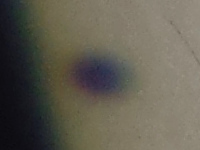 20160509_111659_CA_TH.jpg