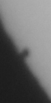 20160509_111542_ing_AJS_6741.jpg