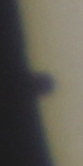 20160509_111435_ing_MPC_2937.jpg