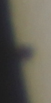 20160509_111459_ing_MPC_2943.jpg