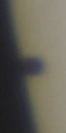 20160509_1115151_ing_MPC_2947.jpg