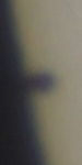 20160509_111523_ing_MPC_2949.jpg