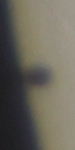 20160509_111531_ing_MPC_2951.jpg