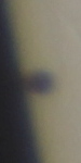 20160509_111535_ing_MPC_2952.jpg
