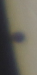 20160509_111539_ing_MPC_2953.jpg