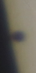 20160509_111543_ing_MPC_2954.jpg