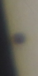 20160509_111547_ing_MPC_2955.jpg