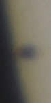 20160509_115555_ing_MPC_2957.jpg