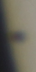 20160509_111559_ing_MPC_2958.jpg