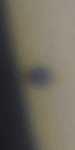 20160509_111603_ing_MPC_2959.jpg