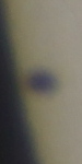 20160509_111607_ing_MPC_2960.jpg