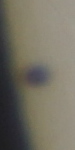 20160509_111615_ing_MPC_2962.jpg