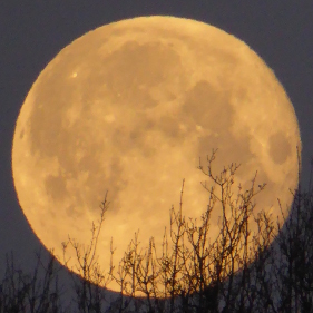 20180131_full_moon_MN.jpg