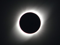 20190702_corona_PJW.jpg