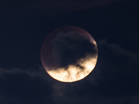 20190716_LE_RP_6.png