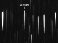 2019_SS_Cyg_spectrum_MJH.jpg