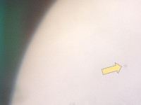 20191111_ToM_mid-transit_MW_1713.jpg