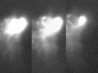 20140506_NGC6729_cmp_MJH.jpg