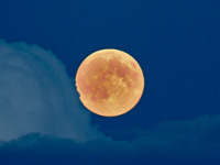 Moon/20140810_super-moon_DM_2639.jpg