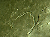 Moon/20160321_Vallis_Schroteri_DM.jpg