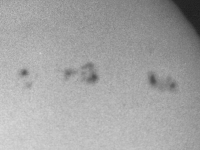 Sun/19840125_sunspots_RCA.gif