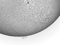 Sun/20190514_Sun_Ha_prom_neg.jpg