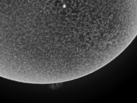 Sun/20190514_Sun_Ha_prom.jpg