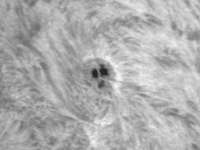 Sun/20190516_Sun_Ha_AR2741_JWH.gif