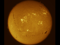 Sun/20260429_Sun_SM.jpg