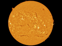 Sun/20260620_Sun_SM.jpg