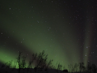 20231119_aurora_AG_3337.jpg