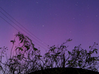 20231125_aurora_MW_1239.jpg