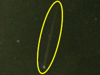 20200813_000843_Perseid_JMA.jpg