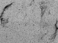 nebulae/20130914_Veil_NSE.png