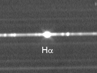 20130922_Nova_Del_spec_MJH.jpg