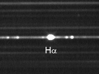 20131005_Nova_Del_spec_MJH.jpg
