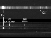 20131029_Nova_Del_spec_MJH.jpg